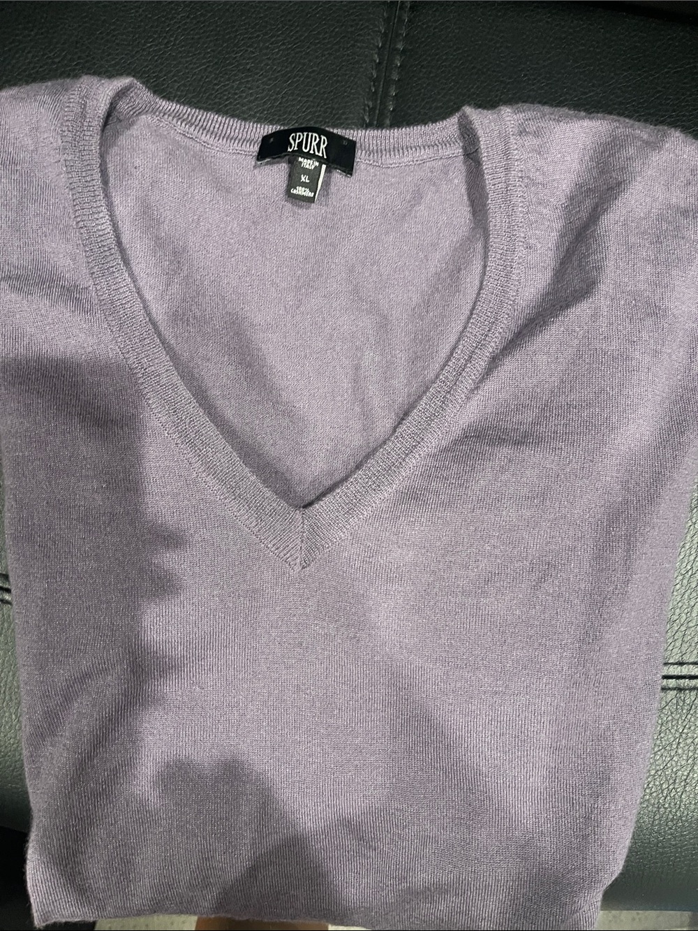 Spurr Men’s Purple V-Neck Sweater